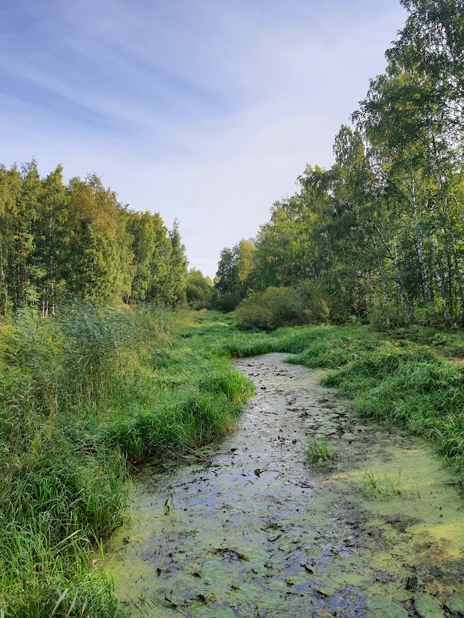 vihreä joki